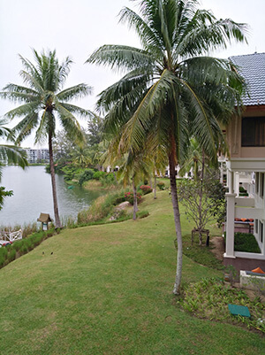 Outrigger Laguna Phuket Beach Resort 5* территория 3 вид на озеро